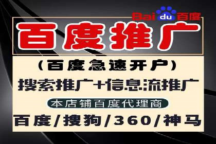 某电商平台的SEM关键词策略及成效分析